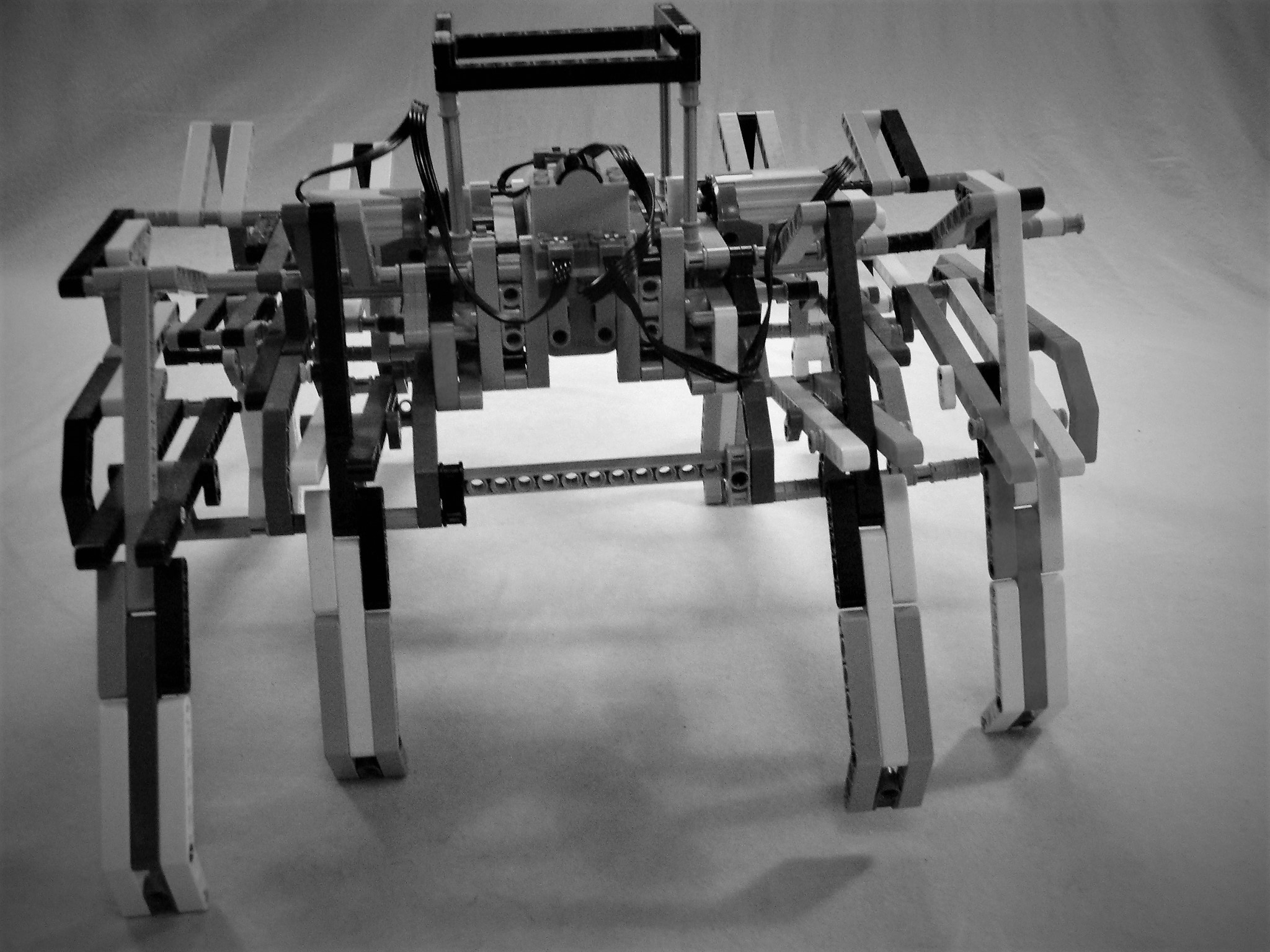 Lego best sale technic spider